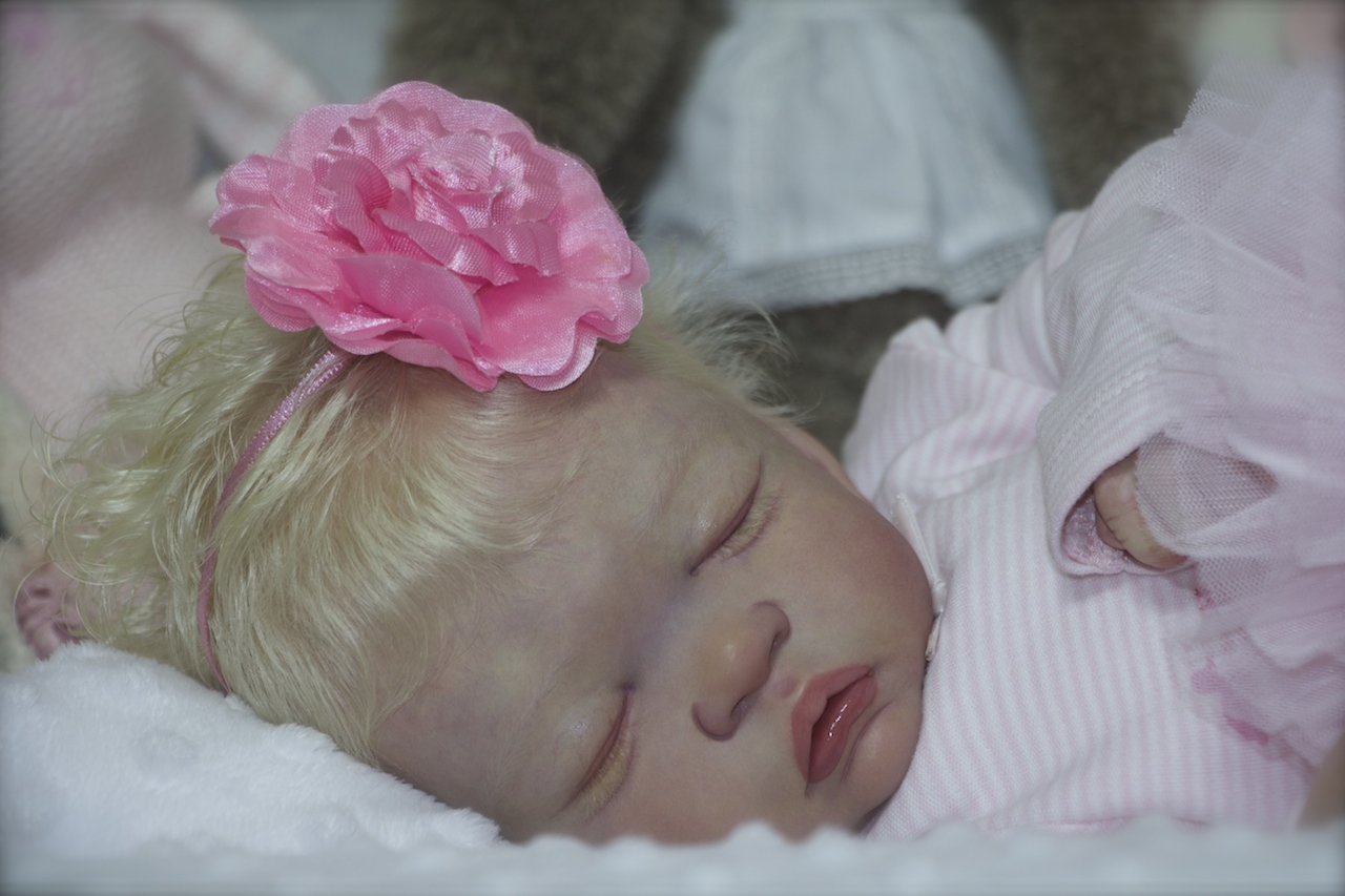 kit reborn laura lee eagles